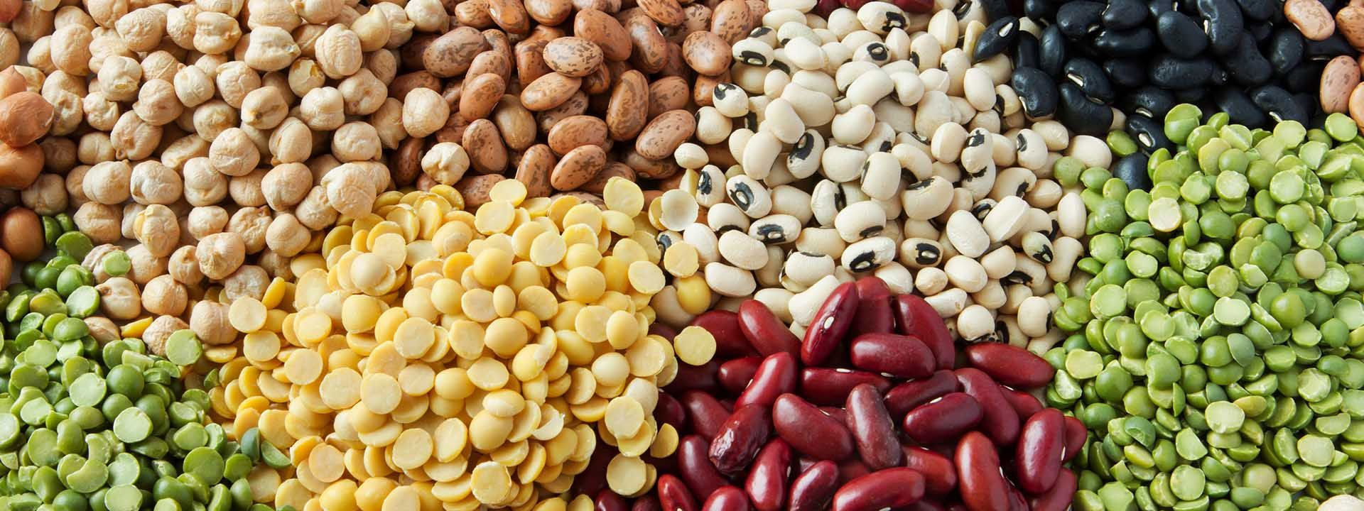 Pulses